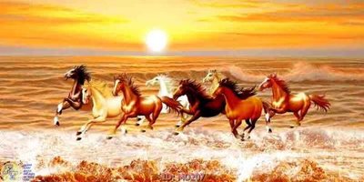 File in ấn File mã đáo thành công MD207 (bản gốc) chất lượng cao