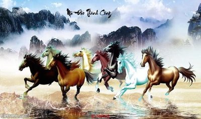 File PSD File mã đáo thành công MD372 (gốc) tách lớp chi tiết