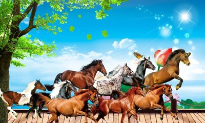 Download file gốc File mã đáo thành công MD6060 (in mica) trong suốt