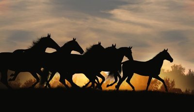 Tải về file gốc File mã đáo thành công MD6169 (dùng cho in quảng cáo)