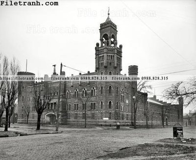 Tải file Omega Oil_ 1901 (gốc) chủ đề hoa sen