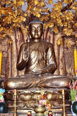 File gốc File phật giáo thần tài P668 (bản quyền) cho in ấn