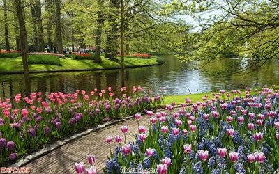 File tranh in tráng gương File gốc phong cảnh PC1028 (siêu nét)