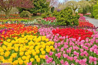 File tranh File gốc phong cảnh PC1072 (file gốc) chủ đề phong thủy