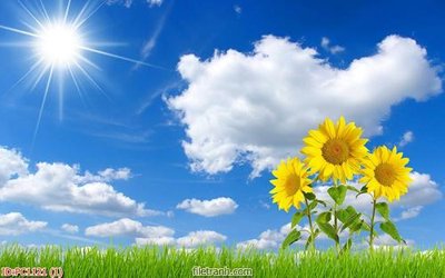 File gốc in ấn File gốc phong cảnh PC1121 chuẩn màu CMYK