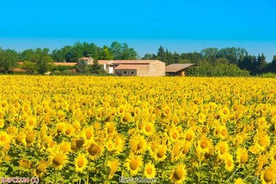 File tranh quảng cáo File gốc phong cảnh PC1124 (file gốc) chuyên nghiệp