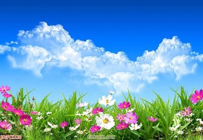 File in trần File gốc phong cảnh PC1128 (file gốc) phong thủy