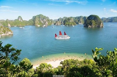 File tranh File gốc phong cảnh PC1190 (gốc) chủ đề động vật