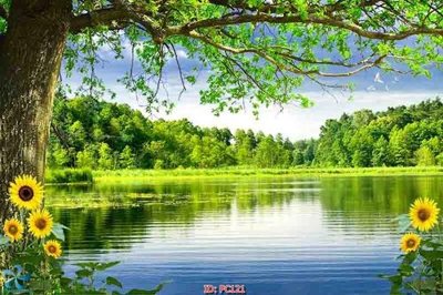 File PSD File gốc phong cảnh PC121 (nguyên gốc) chất lượng cao