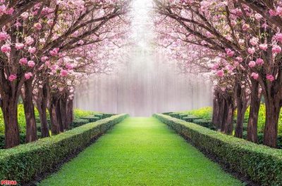 File tranh quảng cáo File tranh phong cảnh PC1246 (download file gốc)