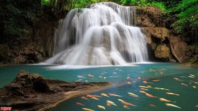 Download file File tranh phong cảnh PC1247 (chuẩn in) chất lượng cao