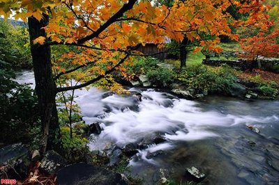 File tranh File tranh phong cảnh PC1250 (ảnh gốc) độc quyền