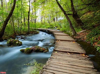 Download file gốc File tranh phong cảnh PC1264 (dùng cho in ấn)