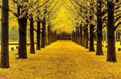 Download file gốc File tranh phong cảnh PC1269 (in lụa) cao cấp