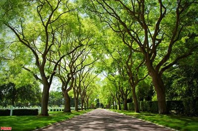 File in ấn cao cấp File tranh phong cảnh PC1295 (file gốc)