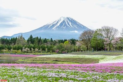 File gốc File tranh phong cảnh PC1350 (in mica) làm quà tặng