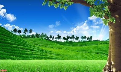 File tranh File tranh phong cảnh PC1383 (ảnh gốc) in trần nhà