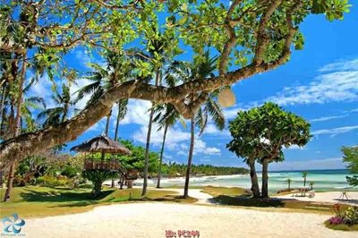 Download file tranh File gốc phong cảnh PC144 (file gốc PSD)