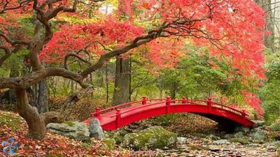 File gốc File gốc phong cảnh PC146 (phong cách) tối giản