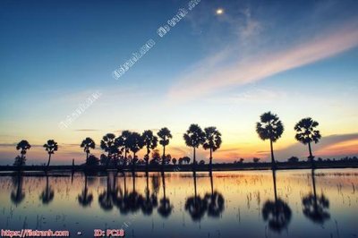 File ảnh File gốc phong cảnh PC18 (gốc) in standee