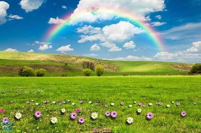 File gốc File gốc phong cảnh PC210 (cho in UV) siêu nét