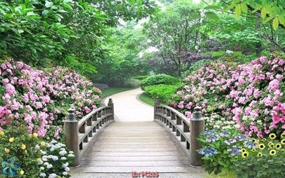 Download file File gốc phong cảnh PC216 (chất lượng in ấn)