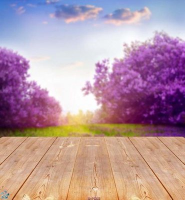 File PSD File gốc phong cảnh PC225 (gốc) tách lớp chi tiết