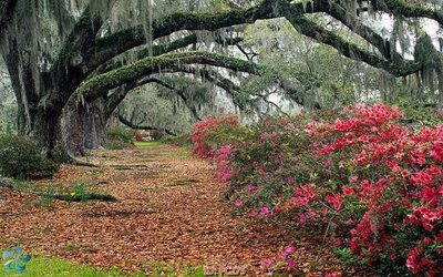 File tranh gốc File gốc phong cảnh PC275 chủ đề hiện đại