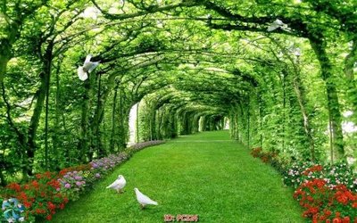 File gốc File gốc phong cảnh PC324 (in tráng gương) sang trọng