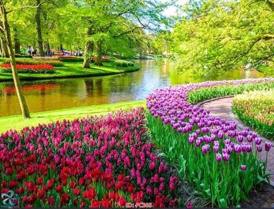 File gốc File gốc phong cảnh PC368 (in lụa) hoa văn cổ điển