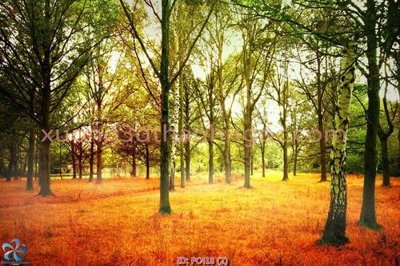 File PSD File gốc phong cảnh PC418 (bản gốc) cho nhà in