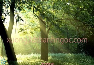 Download file gốc File gốc phong cảnh PC429 (in mica) 3D