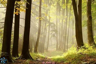 Tải file File gốc phong cảnh PC471 (ảnh gốc) độ phân giải 300dpi