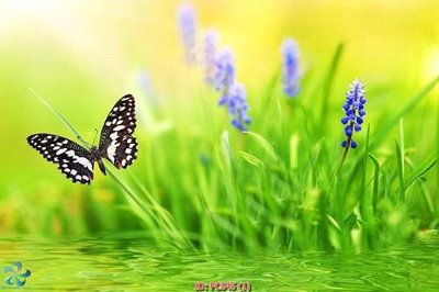 File tranh File gốc phong cảnh PC545 (bản gốc) in lụa 5D