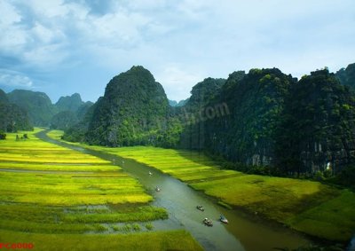 File tranh File tranh phong cảnh việt nam PC6000 (gốc) chủ đề tĩnh vật