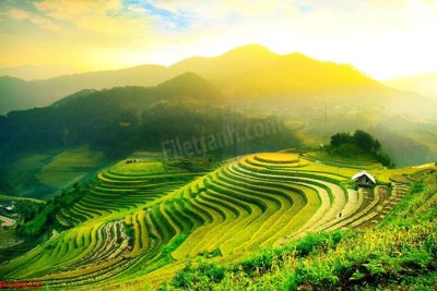 Download file gốc File tranh phong cảnh việt nam PC6022 (in mica) logo