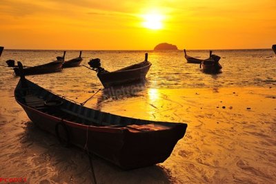 File gốc File tranh phong cảnh việt nam PC6071 (in tráng gương) sang trọng