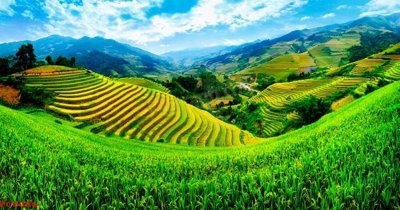 File gốc File tranh phong cảnh việt nam PC6096 (cho in ấn) từ kho Filetranh