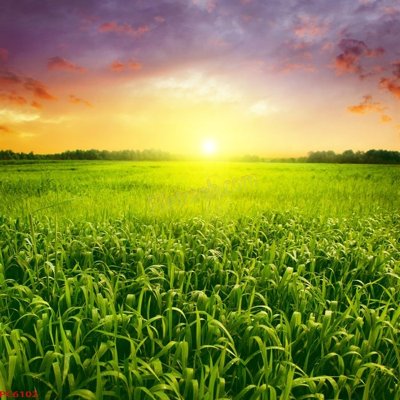 Download file tranh PSD File tranh phong cảnh việt nam PC6102 để chỉnh sửa