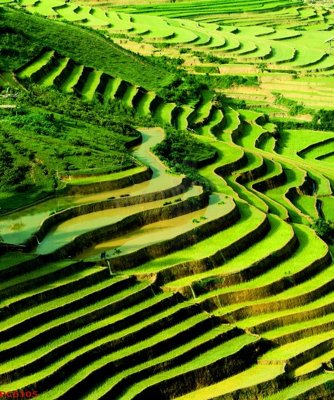 File gốc File tranh phong cảnh việt nam PC6105 (PNG) chất lượng cao