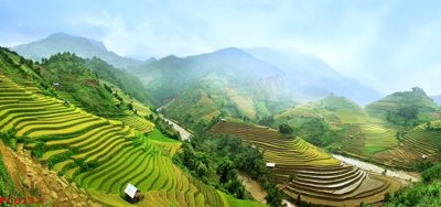 File tranh File tranh phong cảnh việt nam PC6132 (ảnh gốc) in trần 3D