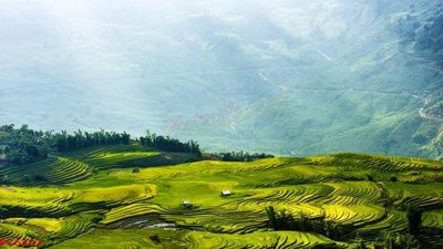 File PSD File tranh phong cảnh việt nam PC6203 (bản gốc) đã tách nền