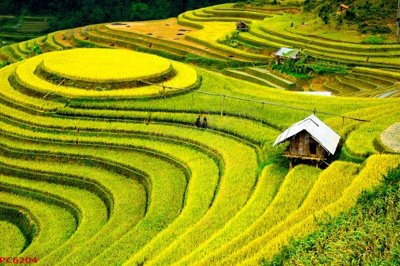 Tải file File tranh phong cảnh việt nam PC6204 (gốc) làm file in ấn