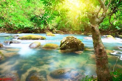 File in trần File tranh phong cảnh việt nam PC6274 (bản gốc 3D) sống động