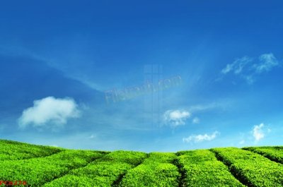 Tải file File tranh phong cảnh việt nam PC6276 (gốc) chủ đề phong thủy