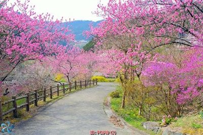 File tranh File gốc phong cảnh PC649 (ảnh gốc) cho in ấn kỹ thuật số