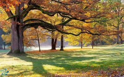 Tải file File gốc phong cảnh PC652 (gốc) làm file thiết kế