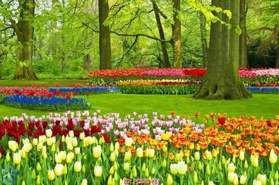 Download file gốc File gốc phong cảnh PC669 (in mica) trong suốt