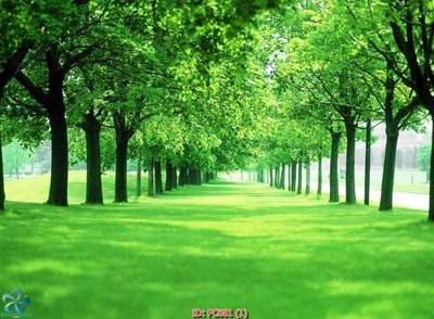 Mua file gốc File gốc phong cảnh PC681 (chất lượng) tại Filetranh.com