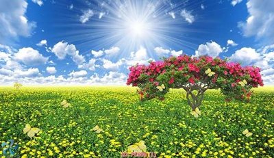 File gốc File gốc phong cảnh PC699 (bản quyền) cho in ấn